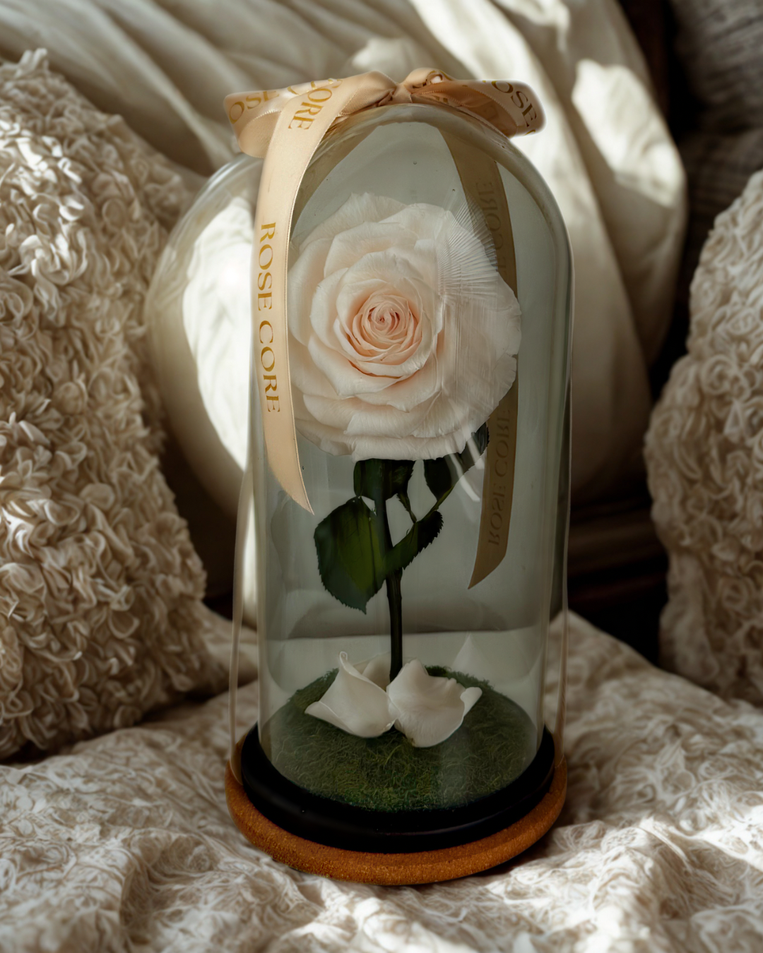 Soft Pink Rose Dome