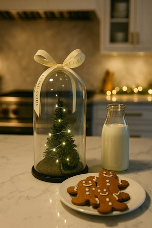 Christmas Dome