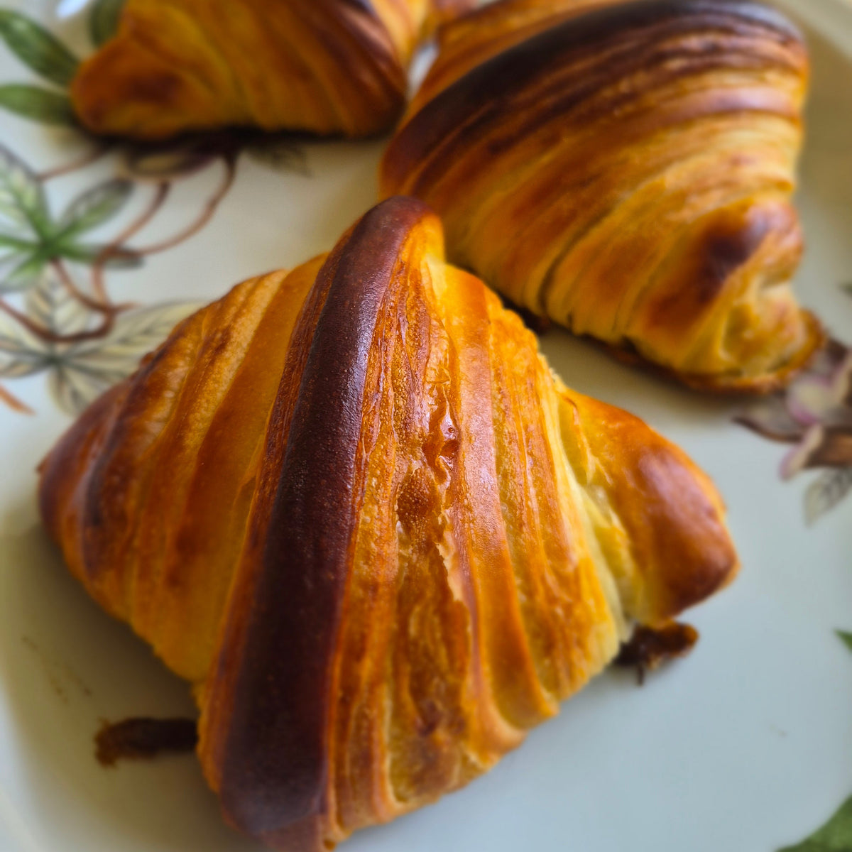 Three golden-brown flaky croissants arranged on a white plate with a green floral pattern, set on a light wooden table.